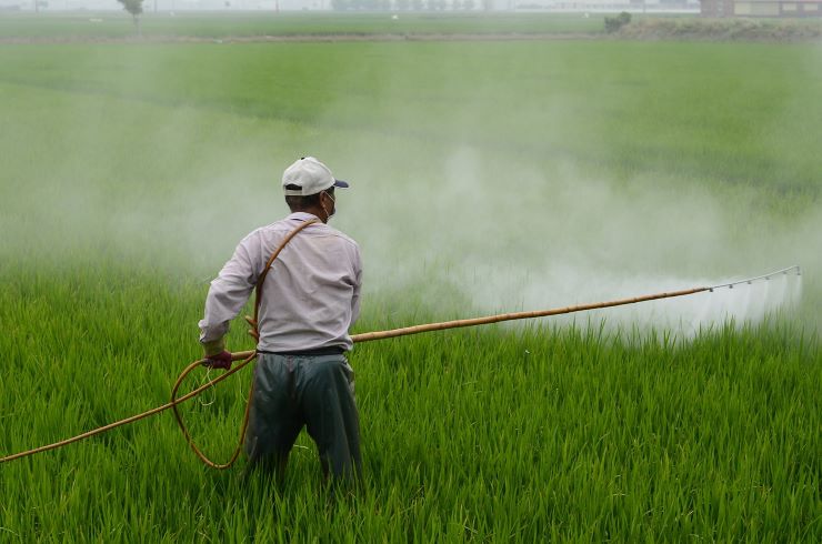 alimenti natale con pesticidi